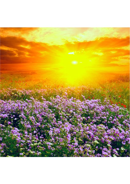 Bahar Çiçekleri Doğal Taş Bardak Altlığı 4'lü Set - Natural Stone Coasters modelleri