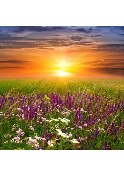 Bahar Çiçekleri Doğal Taş Bardak Altlığı 4'lü Set - Natural Stone Coasters fırsatları