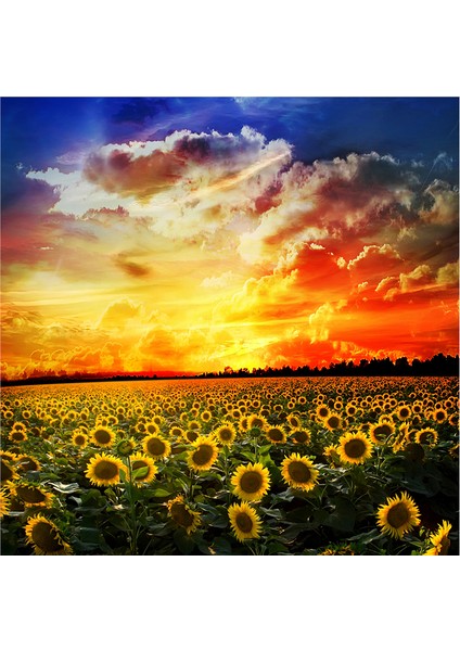 Bahar Çiçekleri Doğal Taş Bardak Altlığı 4'lü Set - Natural Stone Coasters indirimleri