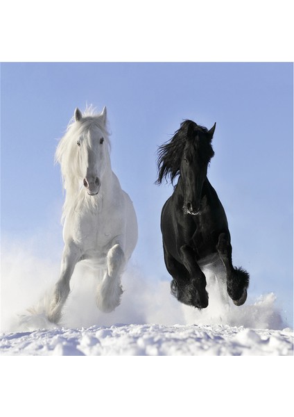 Koşan Atlar Doğal Taş Bardak Altlığı 4'lü Set - Natural Stone Coasters fırsatları