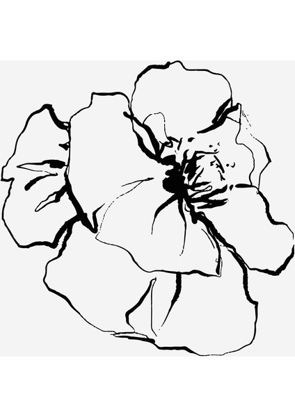 Line Art Çiçek ve Kelebek Doğal Taş Bardak Altlığı 4'lü Set - Natural Stone Coasters modelleri