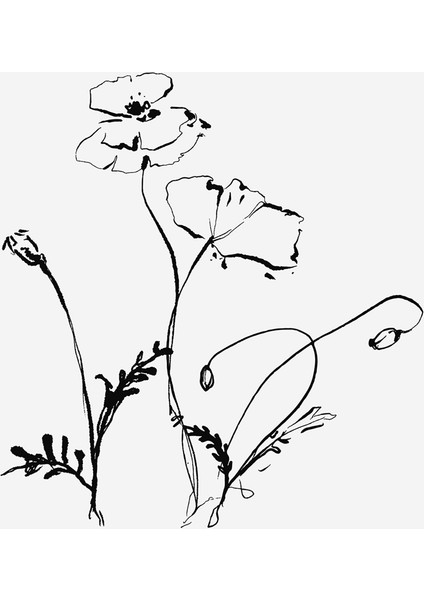 Line Art Çiçek ve Kelebek Doğal Taş Bardak Altlığı 4'lü Set - Natural Stone Coasters fırsatları