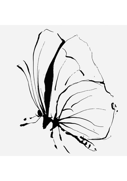 Line Art Çiçek ve Kelebek Doğal Taş Bardak Altlığı 4'lü Set - Natural Stone Coasters indirimleri