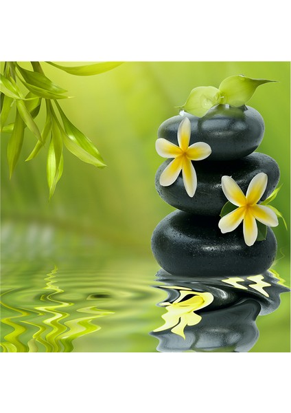 Spa Taşları ve Orkide Doğal Taş Bardak Altlığı 4'lü Set - Natural Stone Coasters modelleri