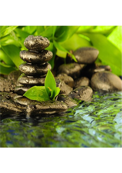 Spa Taşları ve Orkide Doğal Taş Bardak Altlığı 4'lü Set - Natural Stone Coasters fırsatları