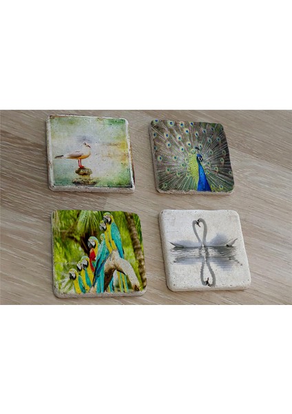 Martı Tavuskuşu Papağanlar Kuğular Doğal Taş Bardak Altlığı 4'lü Set - Natural Stone Coasters