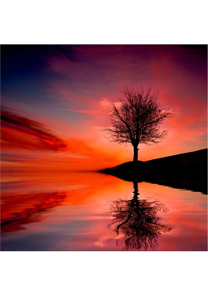 Gün Batımı Tek Ağaçlar Doğal Taş Bardak Altlığı 4'lü Set - Natural Stone Coasters fırsatları