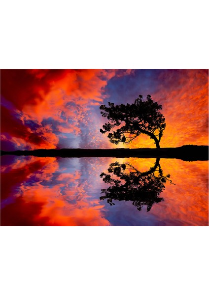 Gün Batımı Tek Ağaçlar Doğal Taş Bardak Altlığı 4'lü Set - Natural Stone Coasters indirimleri