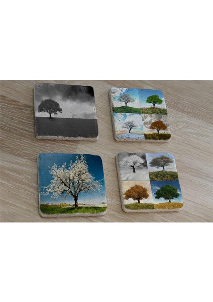 Dört Mevsim Ağaçlar Doğal Taş Bardak Altlığı 4'lü Set - Natural Stone Coasters