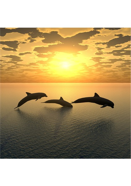 Yunus Balıkları Doğal Taş Bardak Altlığı 4'lü Set - Natural Stone Coasters modelleri