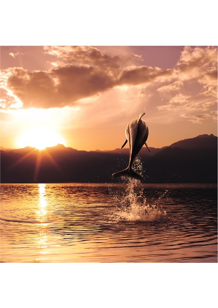 Yunus Balıkları Doğal Taş Bardak Altlığı 4'lü Set - Natural Stone Coasters indirimleri