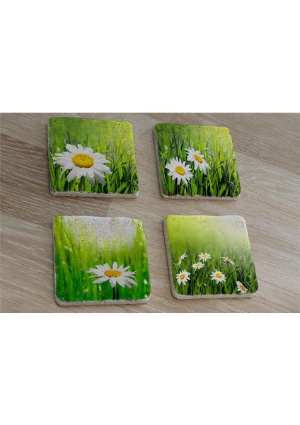 Papatyalar Doğal Taş Bardak Altlığı 4'lü Set - Natural Stone Coasters