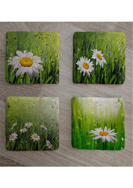 Papatyalar Doğal Taş Bardak Altlığı 4'lü Set - Natural Stone Coasters fiyatları