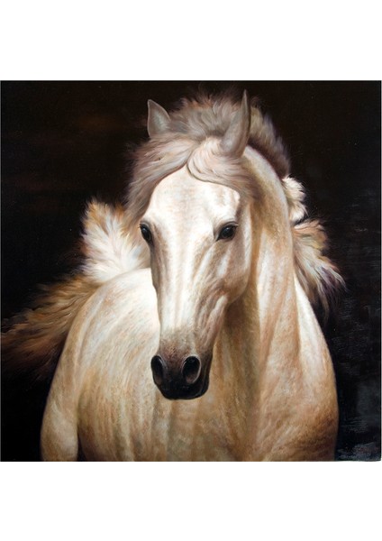 Atlar Doğal Taş Bardak Altlığı 4'lü Set - Natural Stone Coasters fırsatları