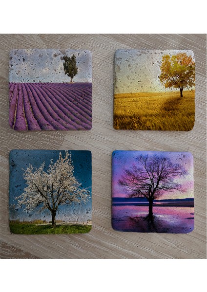 Tek Ağaçlı Manzaralar Doğal Taş Bardak Altlığı 4'lü Set - Natural Stone Coasters