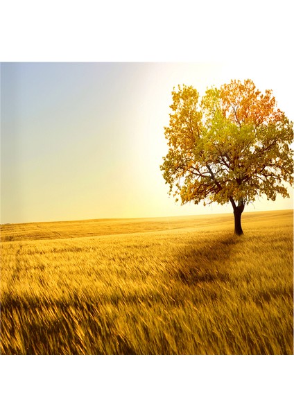 Tek Ağaçlı Manzaralar Doğal Taş Bardak Altlığı 4'lü Set - Natural Stone Coasters fırsatları