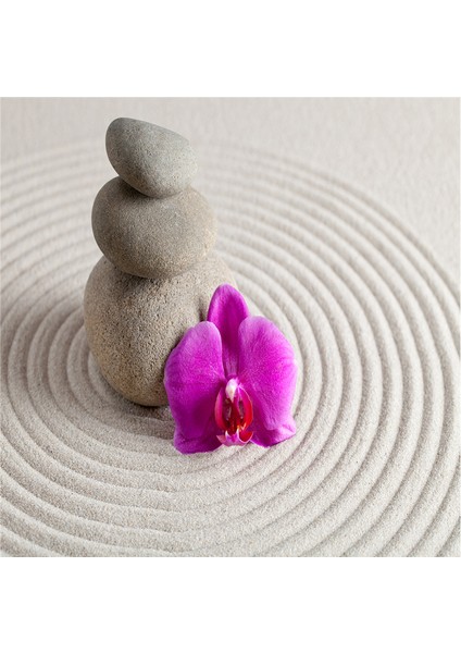 Spa Taşları Papatya ve Orkide Doğal Taş Bardak Altlığı 4'lü Set - Natural Stone Coasters