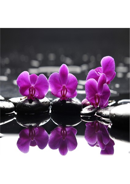 Spa Taşları Papatya ve Orkide Doğal Taş Bardak Altlığı 4'lü Set - Natural Stone Coasters