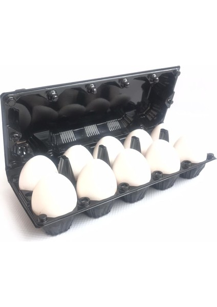 10 Lu Plastik Kapaklı Yumurta Viyolü 100 Adet fiyatları