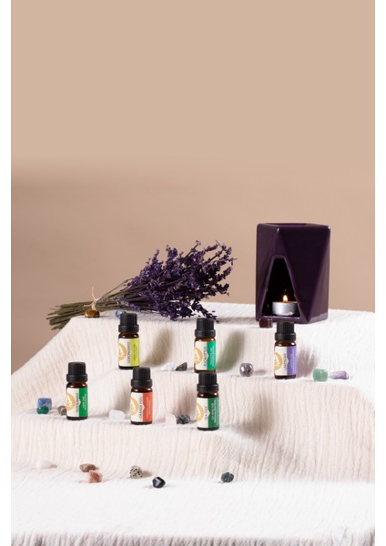 Aromaterapi Saf Lavanta Uçucu Yağı - Lavandula angustifolia - 10 ml Aroma Terapi