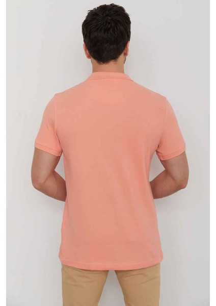 Erkek Polo Tişört Caz 4613 23YCEEO04613-155081 modelleri