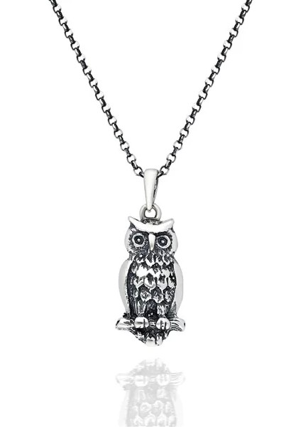 925 Ayar Gümüş Baykuş Erkek Kolye fiyatları