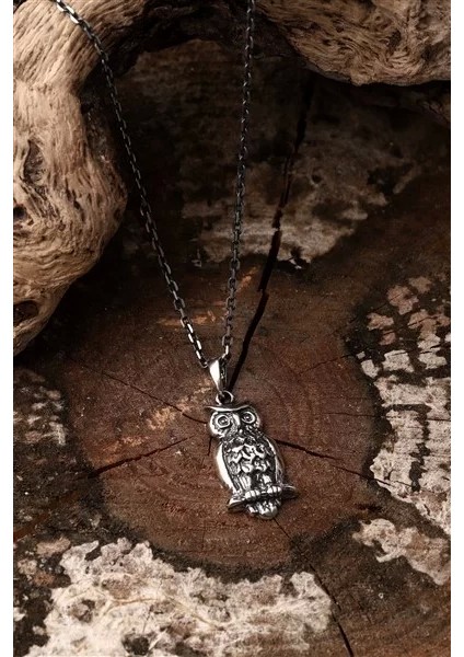 925 Ayar Gümüş Baykuş Erkek Kolye fırsatları