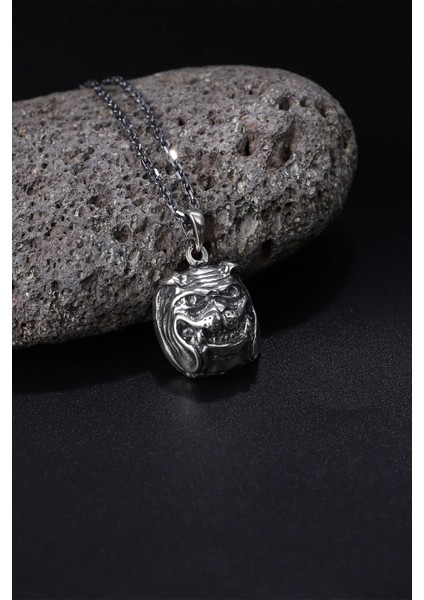 925 Ayar Köpek Figürlü Erkek Kolye Silver fırsatları