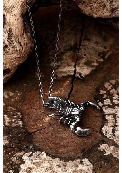 925 Ayar Gümüş Akrep Kolye