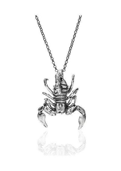 925 Ayar Gümüş Akrep Kolye fiyatları