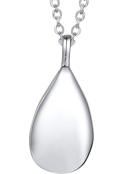 Paslanmaz Çelik Cazibe Hediye Evcil Hayvanlar Için Kremasyon Urn Kolye (Yurt Dışından)