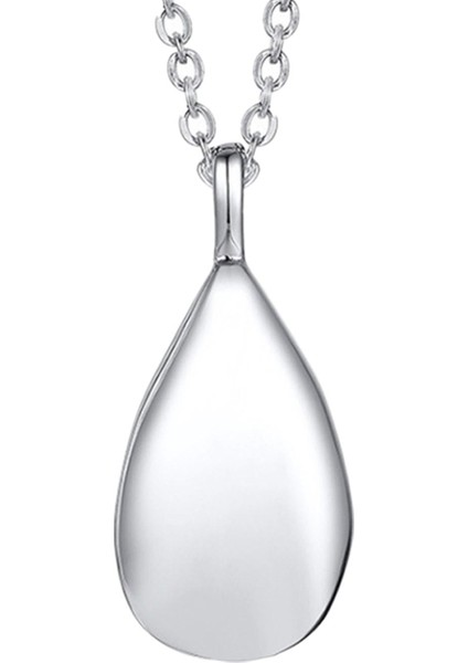 Paslanmaz Çelik Cazibe Hediye Evcil Hayvanlar Için Kremasyon Urn Kolye (Yurt Dışından) fiyatları