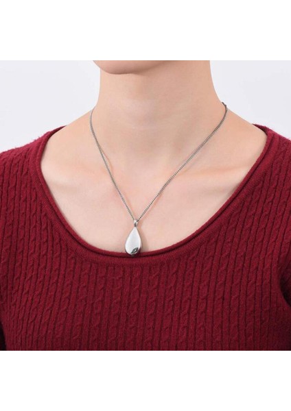 Paslanmaz Çelik Cazibe Hediye Evcil Hayvanlar Için Kremasyon Urn Kolye (Yurt Dışından) fırsatları