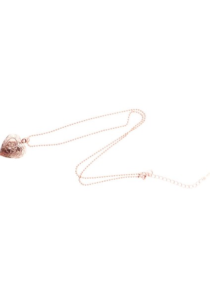 Pirinç Açılabilir Kalp Şeklinde Fotoğraf Lockets Mesaj Kolye Kolye Anıt Gül Gül Altın (Yurt Dışından)
