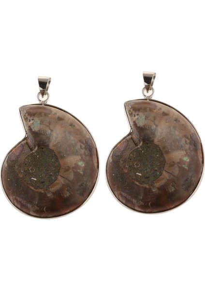 2 Parça Ammolit Salyangoz Conch Charm Kolye Dıy Kazak Zincir Kolye Için (Yurt Dışından)