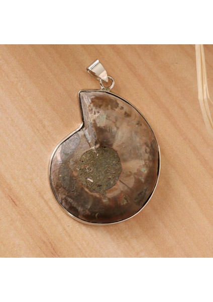 2 Parça Ammolit Salyangoz Conch Charm Kolye Dıy Kazak Zincir Kolye Için (Yurt Dışından) fiyatları