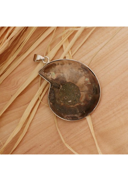 2 Parça Ammolit Salyangoz Conch Charm Kolye Dıy Kazak Zincir Kolye Için (Yurt Dışından) modelleri