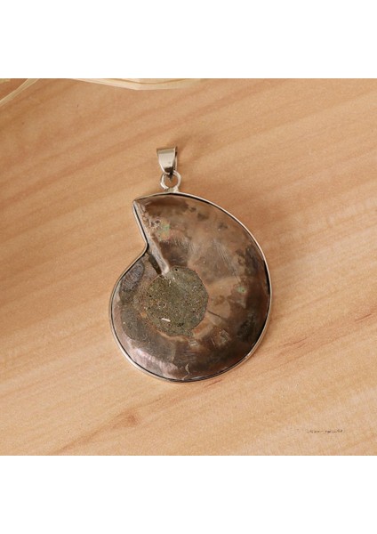 2 Parça Ammolit Salyangoz Conch Charm Kolye Dıy Kazak Zincir Kolye Için (Yurt Dışından) fırsatları