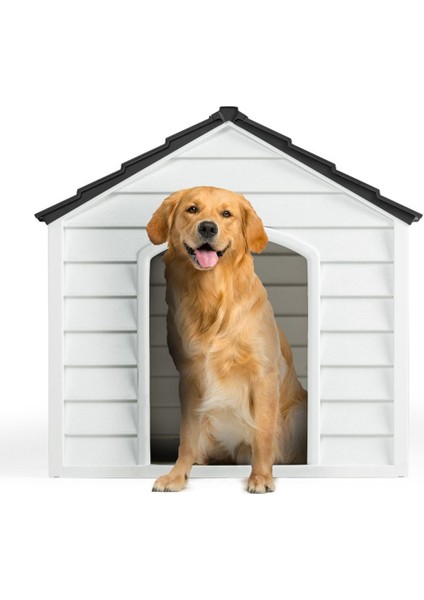 Plastik Pet Kulübe Dış Mekan Suya Dayanıklı indirimleri