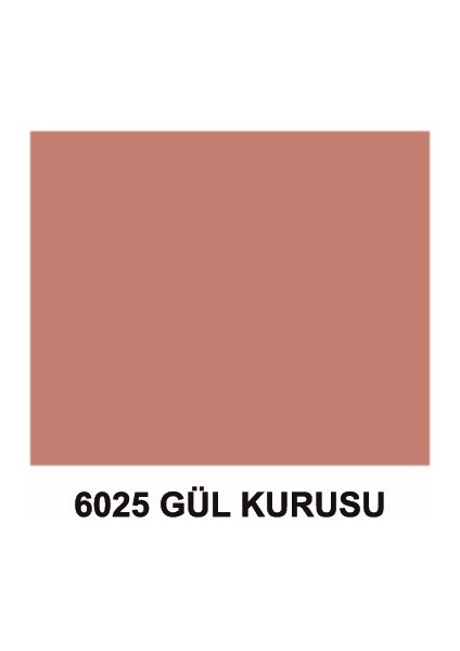 Spot Plastik Su Bazlı Iç Cephe Boyası Gül Kurusu modelleri