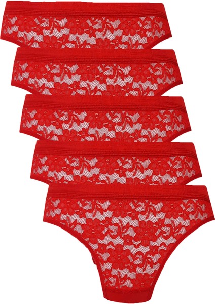 5li Kadın Dantelli Bikini Külot Pamuklu Arkası Düz