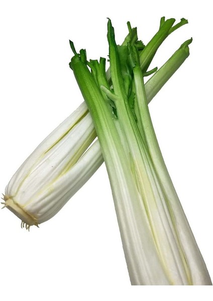 2 Adet Kereviz Yapay Sebzeler Dekorasyon Için Yeşil Yapay Sebzeler Ev Dekorasyonu Market Teşhir Mutfak Dekorasyonu Kereviz Çubuğu (Yurt Dışından) modelleri