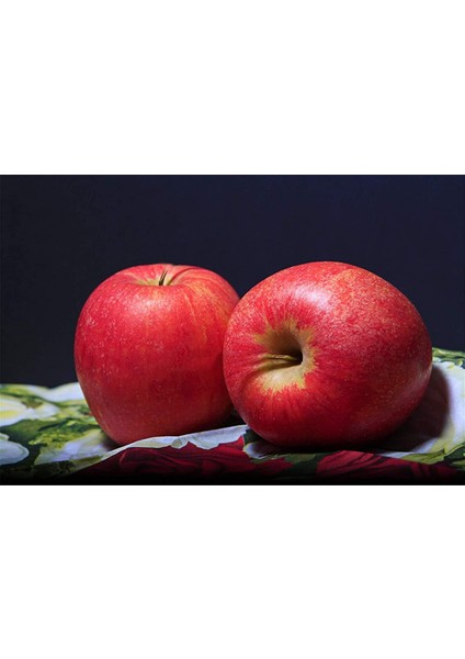 6 Adet Yapay Meyve Modeli Elma Ev Mutfak Parti Dekorasyon Kırmızı ve Yeşil (Yurt Dışından) fiyatları