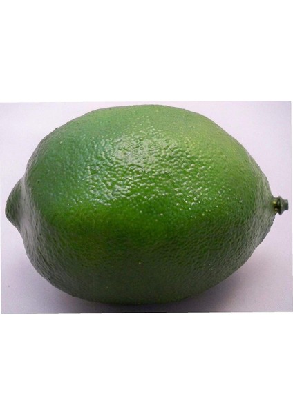 Parti Düğün Için 1 Büyük Yapay Limes Dekoratif Meyve Simülasyon Meyve Ev Dekorasyonu (Yurt Dışından)