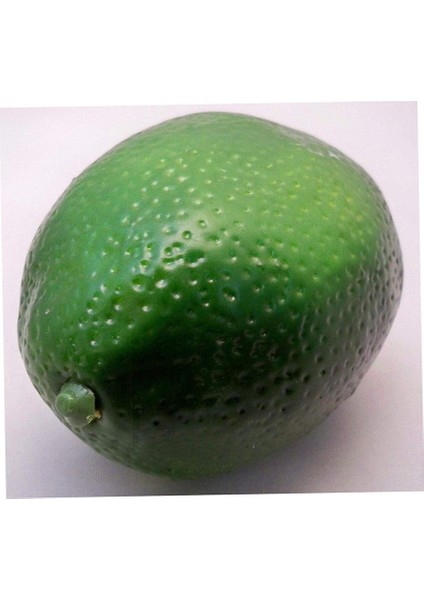 Parti Düğün Için 5 Büyük Yapay Limes Dekoratif Meyve Simülasyon Meyve Ev Dekorasyonu (Yurt Dışından) indirimleri