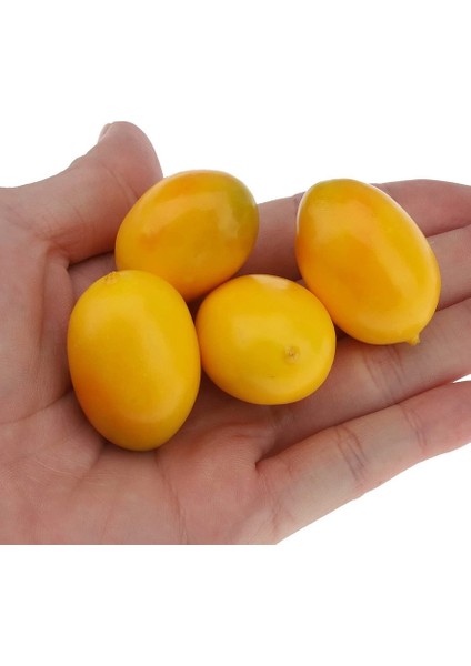 27 Mini Yapay Plastik Limon Süsleri Sadece Limonlar (Yurt Dışından) fırsatları