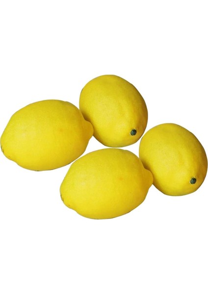 5'li Set Dekoratif Yapay Meyveler Yapay Sarı Limonlar Simüle Edilmiş Meyve ve Sebzeler Sarı 7,5 x 5cm (Yurt Dışından) fiyatları