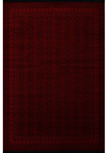 Afgan Türkmen Otantik Desenli Dokuma 9581B Salon ve Oturma Odası Halısı 80 x 300 cm