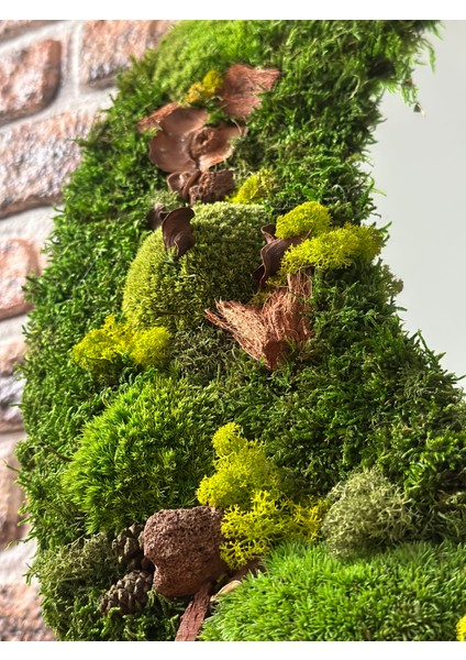 Yuvarlak Flat Moss Tasarım Ayna modelleri