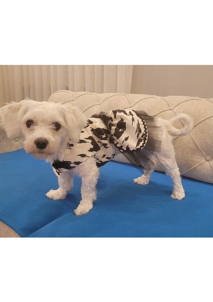 Siyah Beyaz Leopar Desenli Tüllü Kedi Köpek Kıyafeti Elbisesi